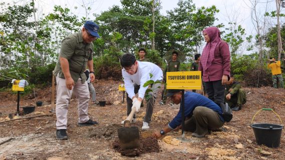 Sambut Hari Ozon Belantara Foundation dan Mitra Tanam Pohon di Tahura Minas